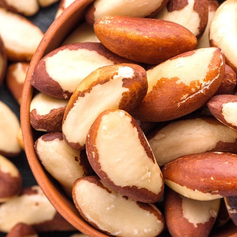 Best Selling High Quality Brazil Nuts with Free International Shipping for Sale High Quality Brazil Nuts for Export