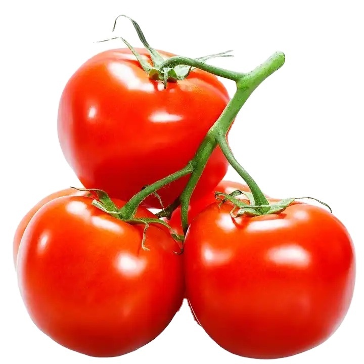 Frozen Fresh Cherry Tomatoes Price Fresh tomatoes Fast Shipping available in stock