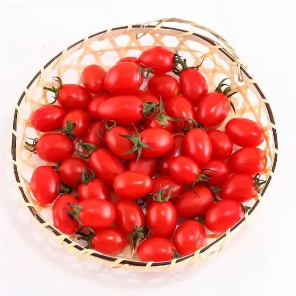 Frozen Fresh Cherry Tomatoes Price Fresh tomatoes Fast Shipping available in stock