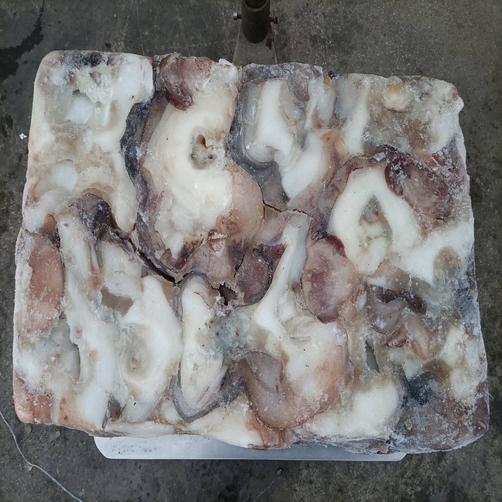 Wholesale Big Size Natural Live Octopus for Sale Japanese Food Frozen Octopus Frozen Baby Octopus Price Leg Frozen Seafood I.Q.F