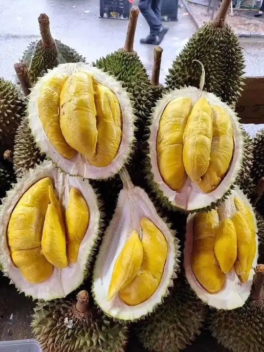 Frozen Durian with Seeds Sweet Taste From Thailand with High Quality