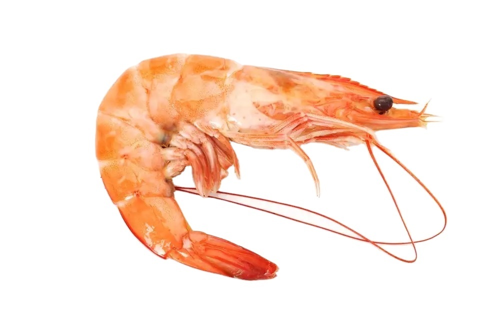 Thailand Black Tiger Shrimp, Prawn AA 700gm, Wild Catch Boston Lobster 350gm Whole Slipper Lobster