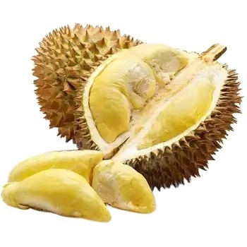 Fresh Musang King Durian - High Quality, Stable Supply, Competitive Price