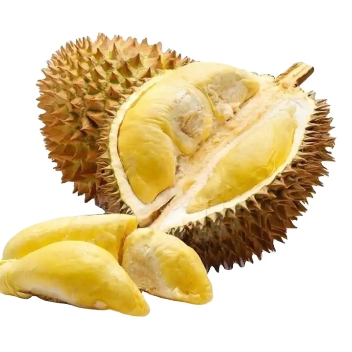 Frozen Durian with Seeds Sweet Taste From Thailand with High Quality