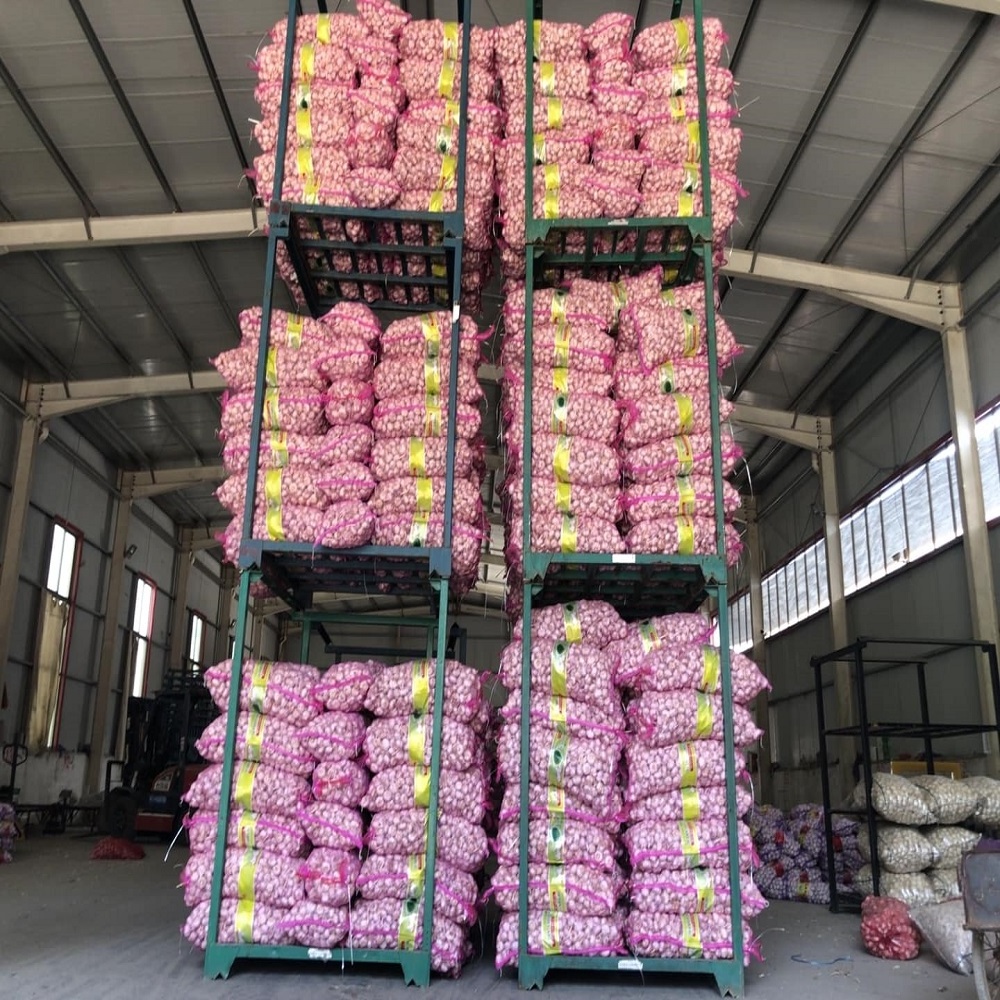 High Quality Peeled Garlic Cloves Cheap Price Vacuum Packed Fresh Peeling Garlic