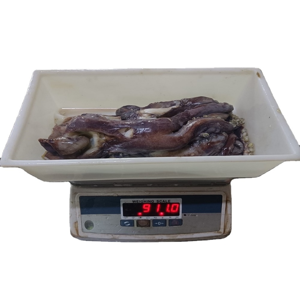 Wholesale Delicious Japanese Fried Food Flour Bento Squid