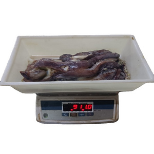 Wholesale Delicious Japanese Fried Food Flour Bento Squid