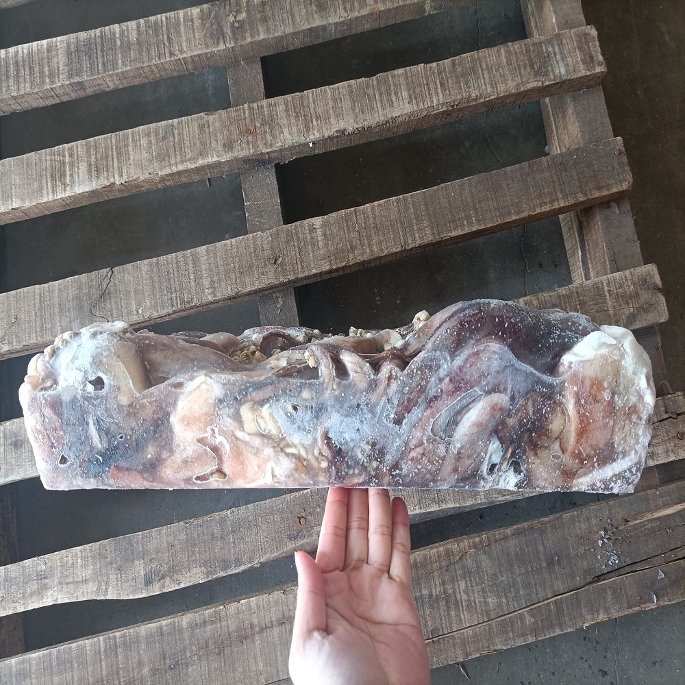 Wholesale High Quality Japanese Food Processed Frozen Squid With Flour