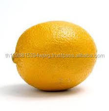 GOOD FRESH LEMON_ YELLOW LEMON_GREEN LEMON CITRUS FRUITS