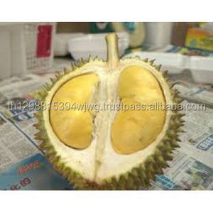 Dry Fruit Export to US : Best Selling Vacuum Freeze Dried Durian in Tin Can ( 50 grams ) 100% dried durian