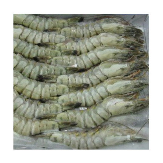 Frozen Black Tiger Shrimps / Black Tiger Shrimp