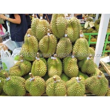 Dry Fruit Export to US : Best Selling Vacuum Freeze Dried Durian in Tin Can ( 50 grams ) 100% dried durian