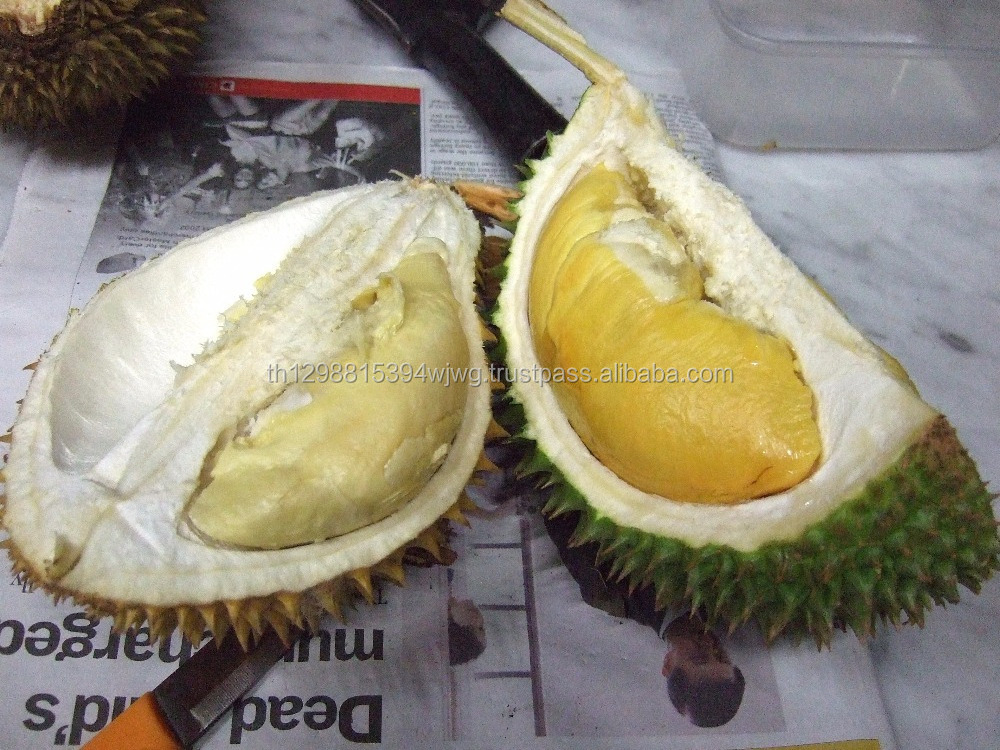 Dry Fruit Export to US : Best Selling Vacuum Freeze Dried Durian in Tin Can ( 50 grams ) 100% dried durian