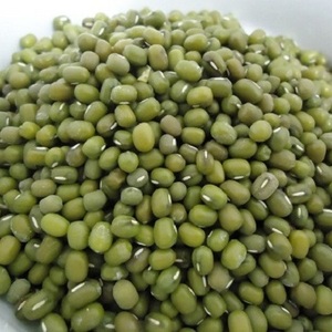 Green Mung Beans