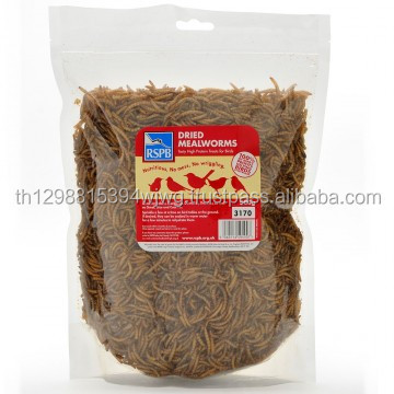 edible insect dried mealworm / crickets / grasshopper