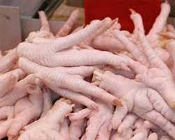 Brazil Halal Chicken Feet / Frozen Chicken Paws USA