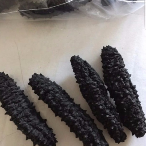 Cucumber Hot Selling Competitive Price /Fresh Frozen Seafood Wild Dried Sea Cucumber