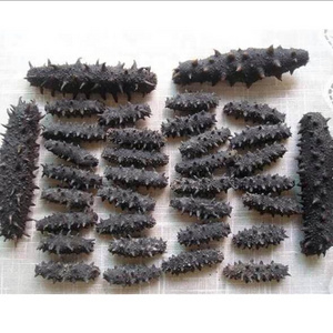 Dry Sea Cucumber White Teat Fish