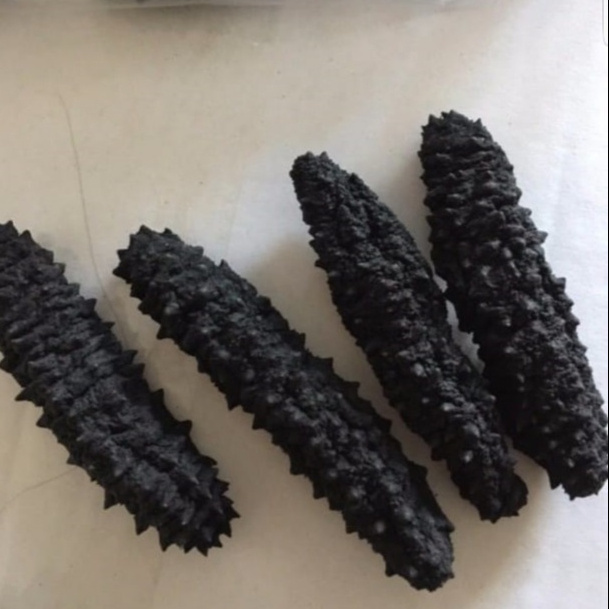 Cucumber Hot Selling Competitive Price /Fresh Frozen Seafood Wild Dried Sea Cucumber