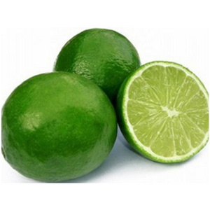 FRESH GREEN LEMON Export Quality Wholesale Price