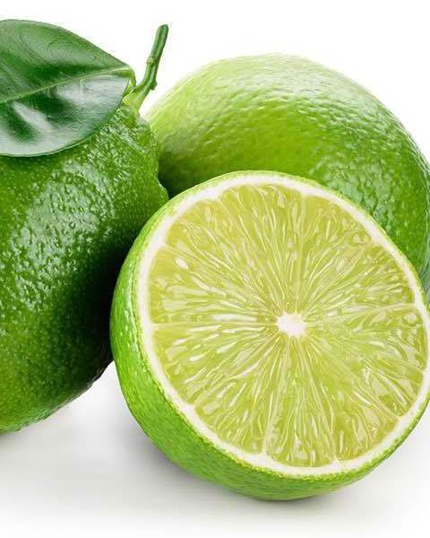 FRESH GREEN LEMON Export Quality Wholesale Price