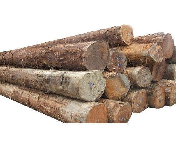 Wholesale Natural Solid hard Acacia wood logs/timber/lumber from natural acacia wood /Russian pine larch spruce wooden soft timb