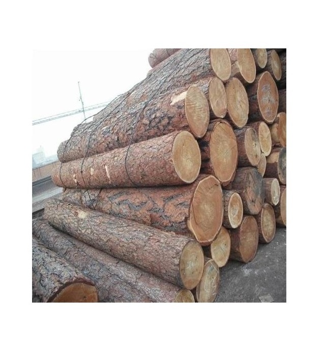 Wholesale Natural Solid hard Acacia wood logs/timber/lumber from natural acacia wood /Russian pine larch spruce wooden soft timb