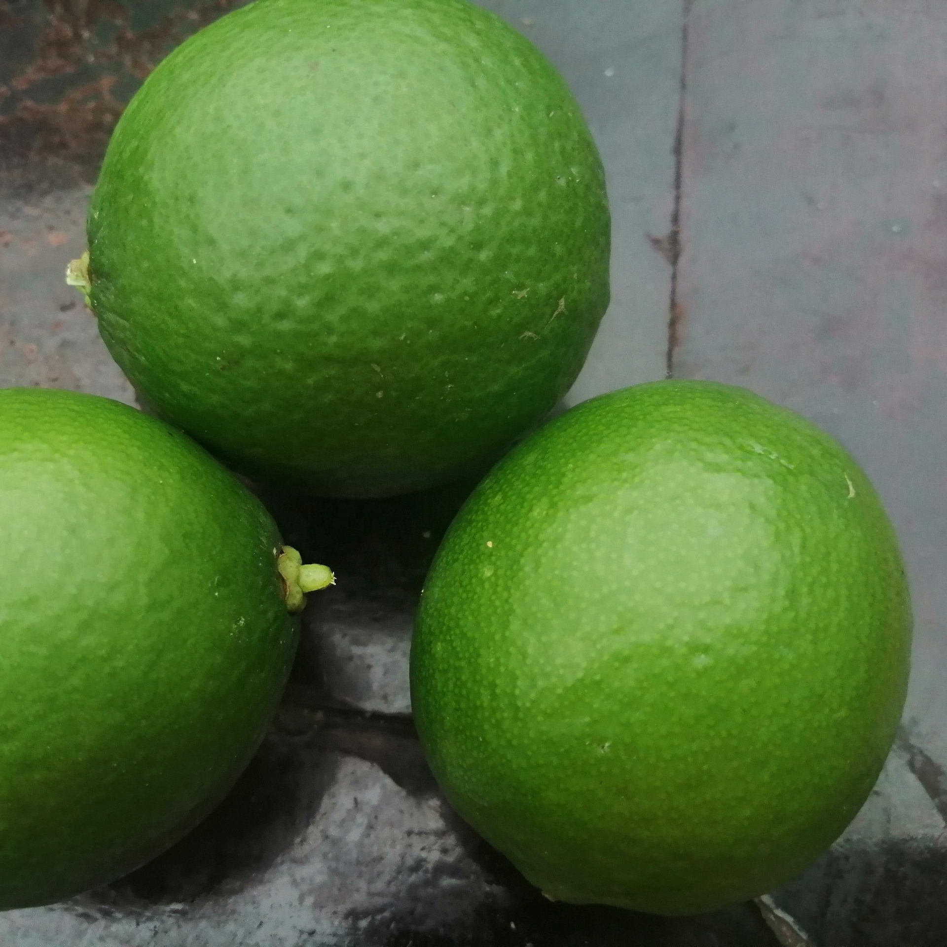 FRESH GREEN LEMON Export Quality Wholesale Price