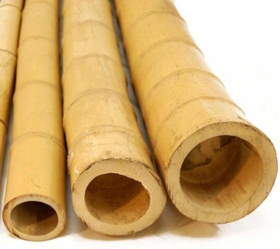 Bamboo poles