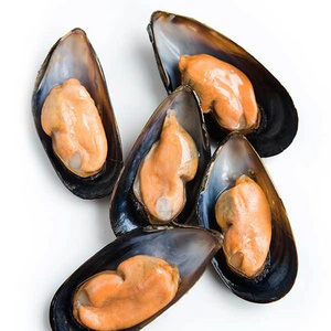 Frozen Oyster Meat Half Shell Mussel