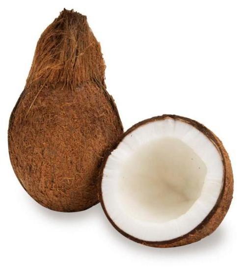 High quality fresh coconut