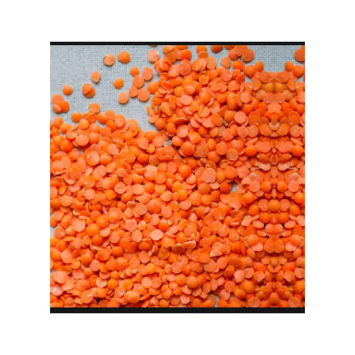 High Quality Red Split Lentils / Lentils Price