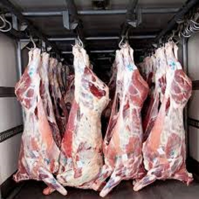 Camel Meat : 1 Grade Halal Fresh Frozen Lamb Meat/ Halal Mutton