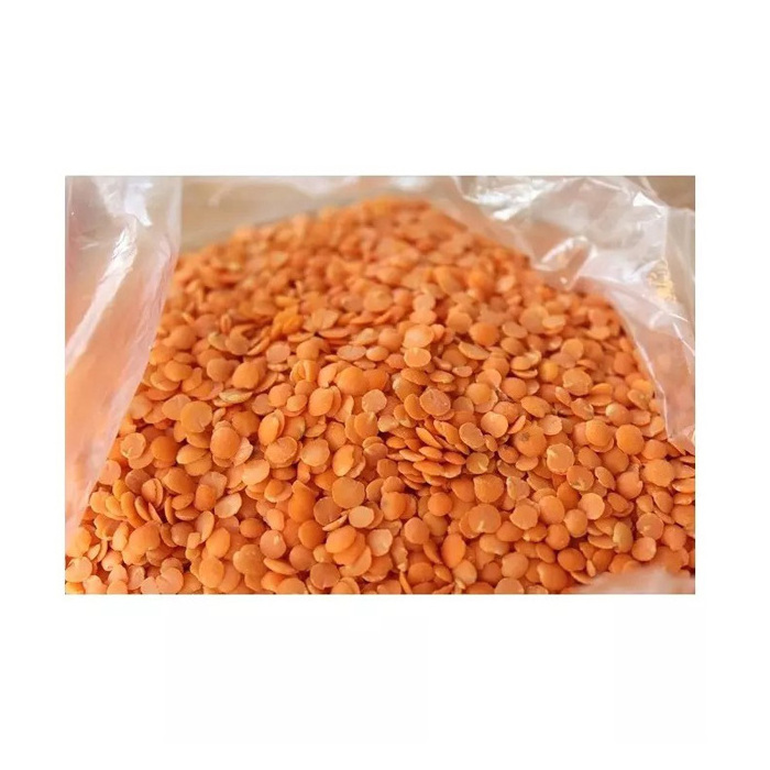 High Quality Red Split Lentils / Lentils Price