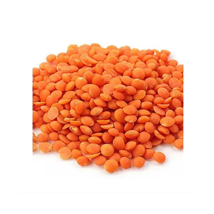 High Quality Red Split Lentils / Lentils Price