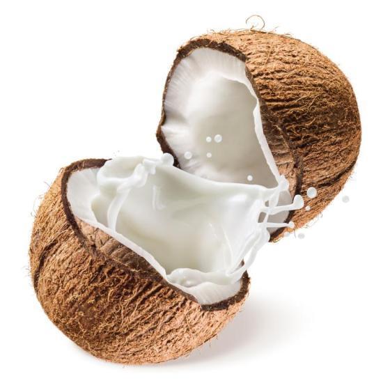 High quality fresh coconut