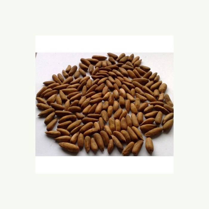 Bulk Import Wholesale Price Top Organic Pine Nuts Leisure Snacks Open Pine Nuts