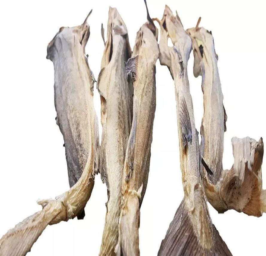 NORWEGIAN STOCKFISH (ROUND COD, 50-70CM LONG): 50-LBS HALF-BALE (20-25 LARGE STOCKFISH, UNCUT)