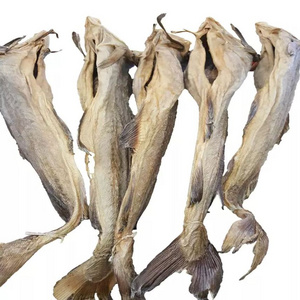 NORWEGIAN STOCKFISH (ROUND COD, 50-70CM LONG): 50-LBS HALF-BALE (20-25 LARGE STOCKFISH, UNCUT)