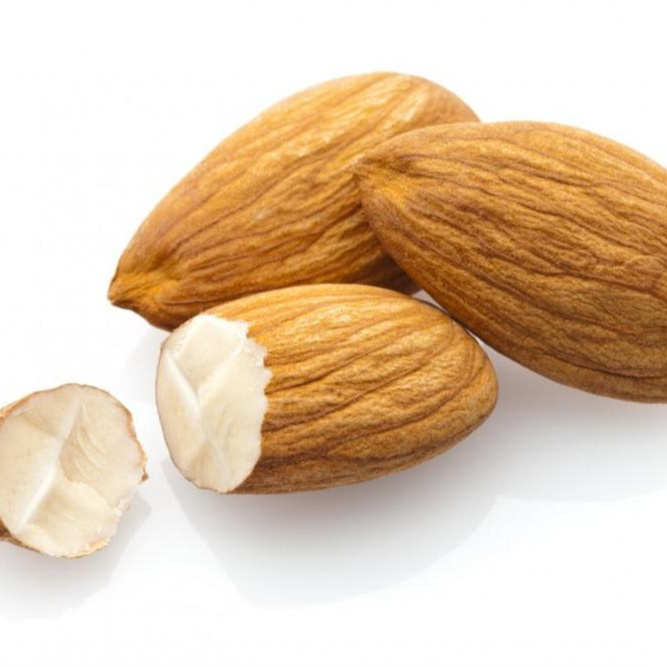 organic almonds with natural flavor, almond nuts suppliers