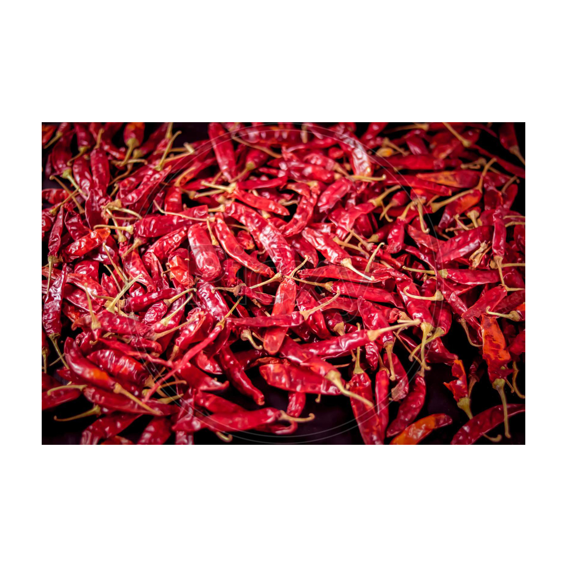 Spices & Herbs Products Good Price Wholesale Crispy Pepper Red Chili Dry Dried Chili