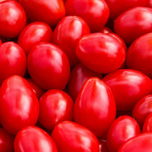 Red Tomato / Wholesale Tomato Price / Fresh Tomato