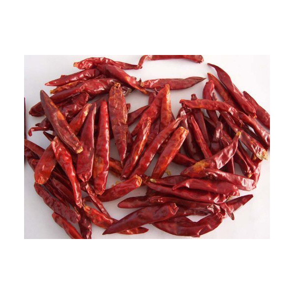 Spices & Herbs Products Good Price Wholesale Crispy Pepper Red Chili Dry Dried Chili