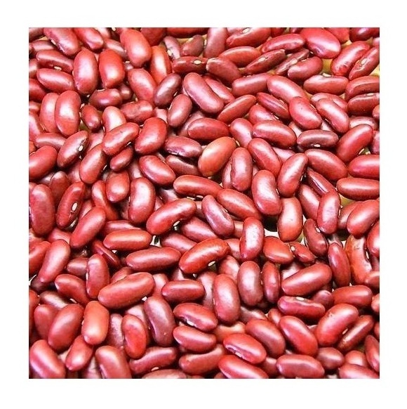 Buy Cheap Dark Red Kidney Beans Long Shape Kidney Beans for sale