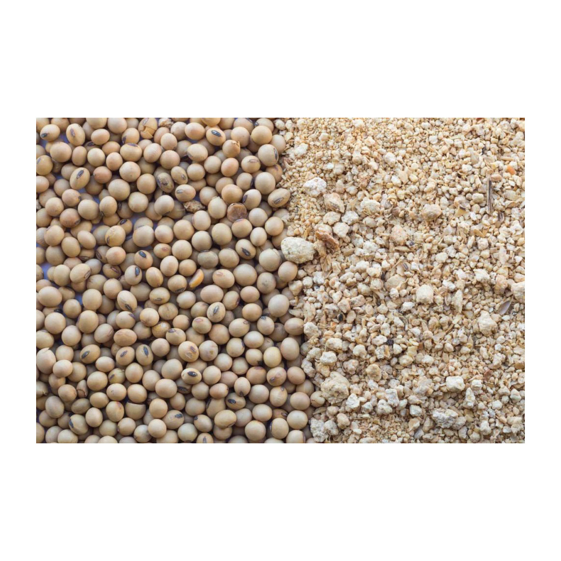 Refined & crude Soybean Meal & Soya Meal for cooking/Refined Soyabean Meal Soybean refined Meal for sale