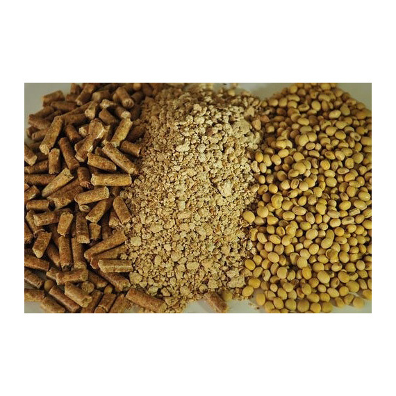 Refined & crude Soybean Meal & Soya Meal for cooking/Refined Soyabean Meal Soybean refined Meal for sale