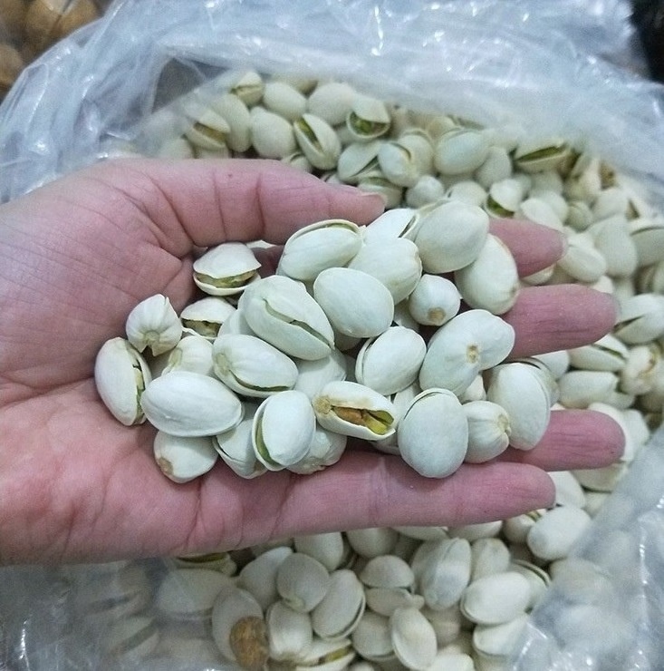 Premium Quality Natural and Fresh Roasted Pistachio Nuts in bulk