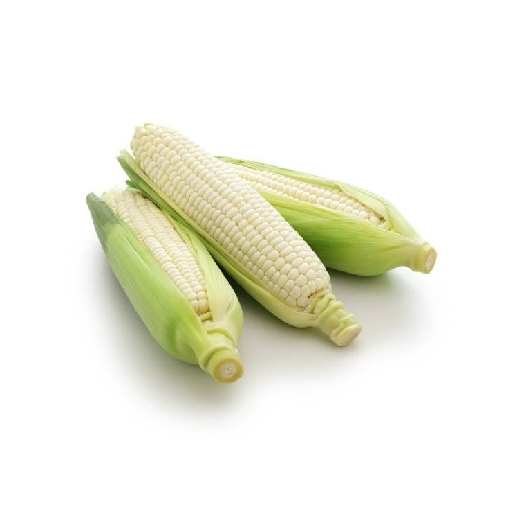 Global Exporter of Best Quality White Sweet Frozen Style Yellow / White Maize Corn at Good Price