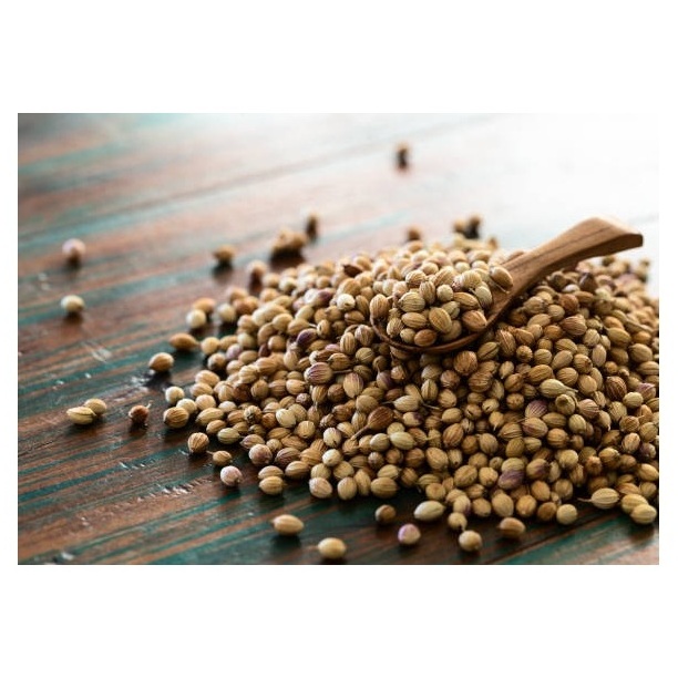 Good Quality Dried Coriander Seeds Available