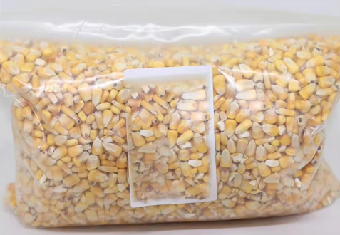 Top Selling High Protein Organic Sweet Yellow Maize/Corn Wholesale Best Price!